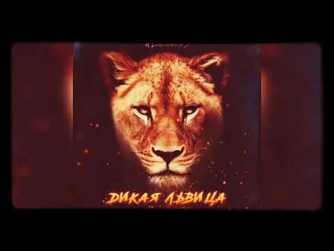 ASLAN KÜKREMESİ [ALEX RUS]