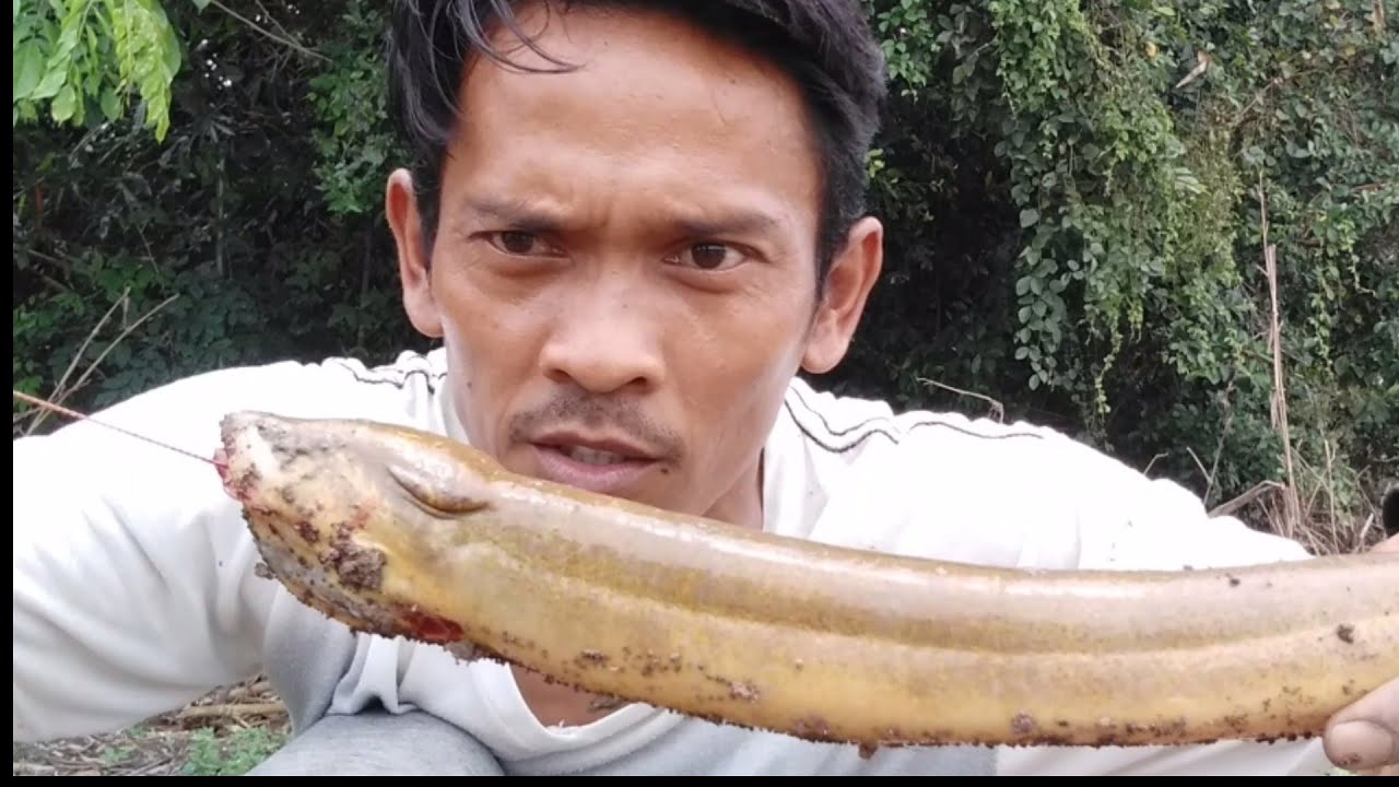 Asli... Spot Ini seperti habis di masukin belut 5 kilo, Banyak Lubang Di setiap Langkahnya