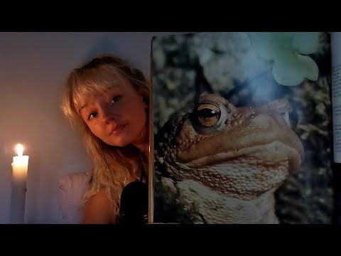 ASMR | Welcome to Cosy Goose Reading Corner | vEnOMoUs aNiMaLs