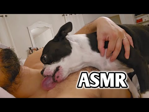 ASMR 11 Minutes Of DOG Licking Sound