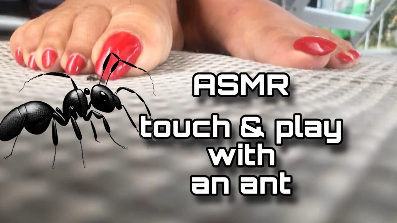 ASMR feet with red nail polish touch and play an ant 🐜