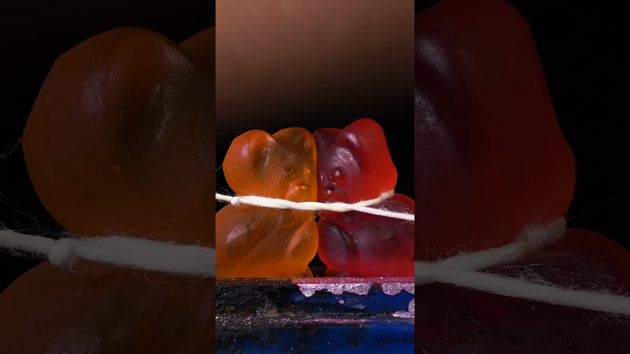 ASMR Kissing Damla Bears close-up macro #shorts #satisfying #closeup #asmr #macro