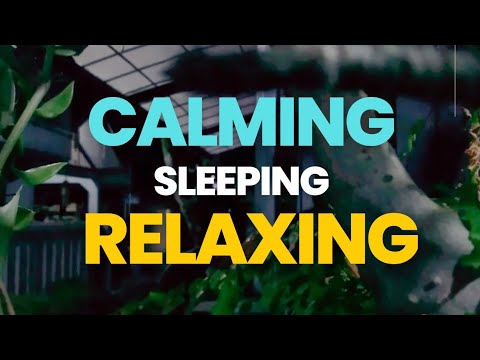 [ASMR] RAIN SOUNDS FOR SLEEPING, RELAXING, MEDITATION, STUDYING, CALMING - 1 HOURS