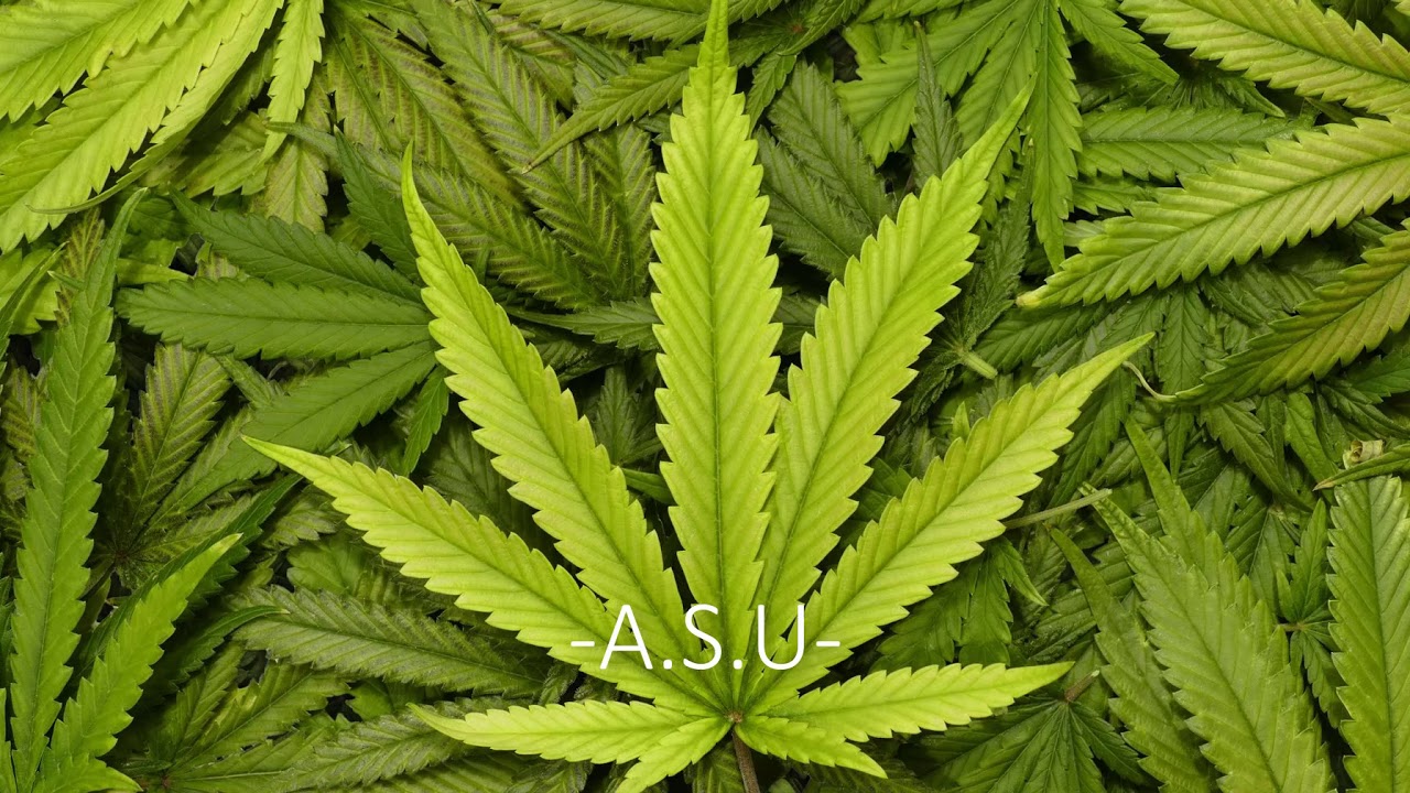-A.S.U- Şifalı İçecekler