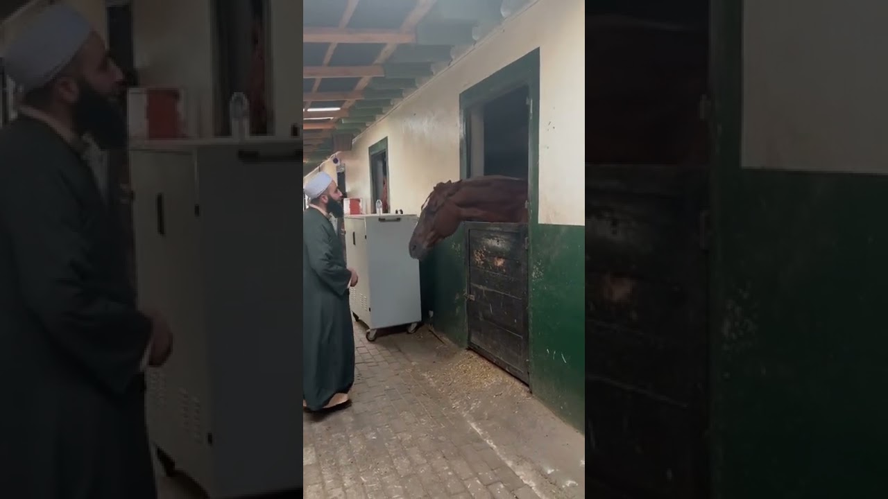 At’a🐴 Rifai Zikir dersini verdik Elhamdulillah 🌹