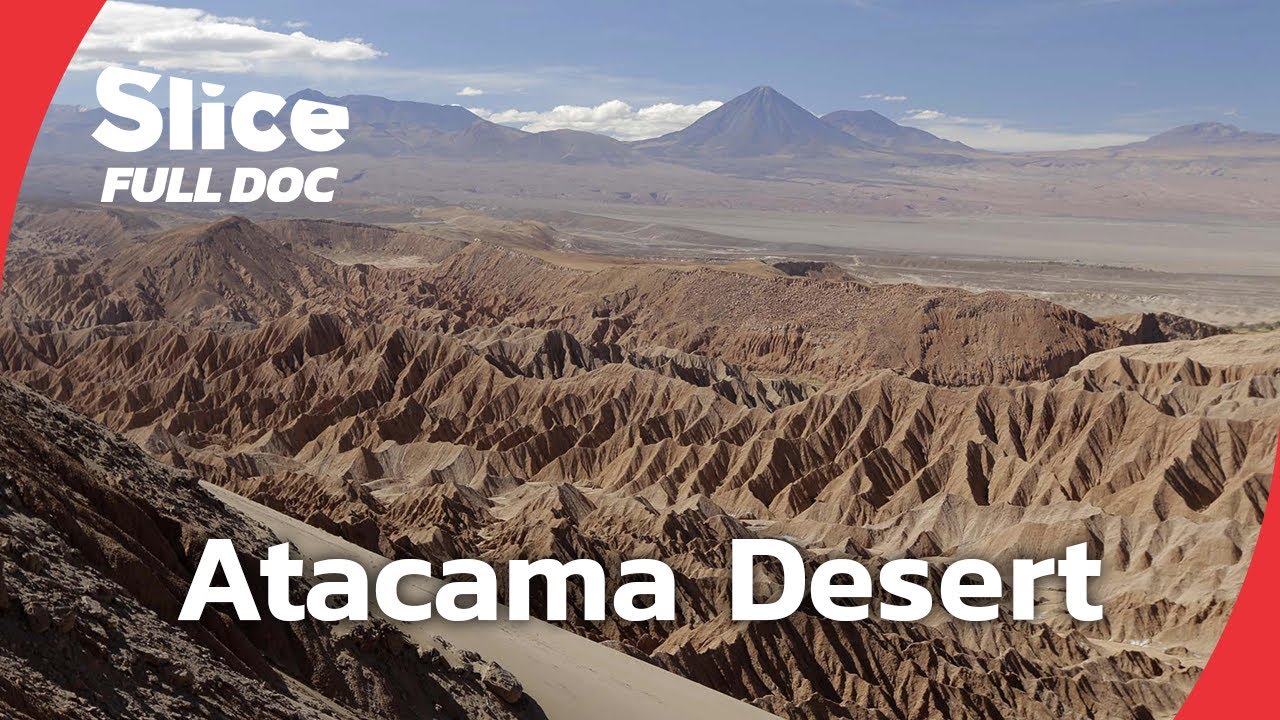 Atacama: Life in the World’s Driest Desert | FULL DOCUMENTARY