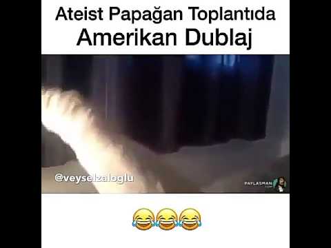 aTeiST KeDi