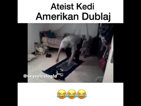 Ateist Kedi Amerikan Dublaj