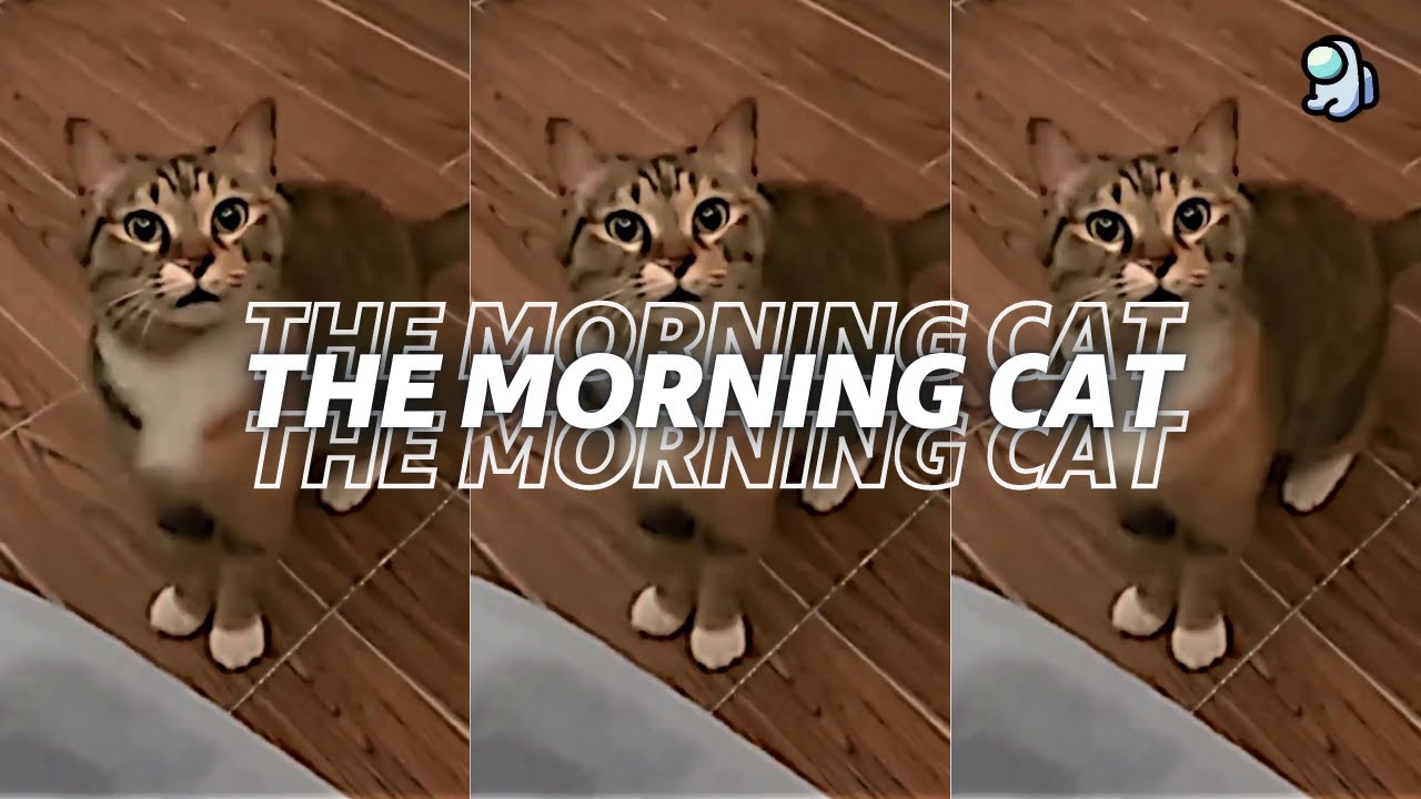 Atilakw - The Morning Cat  (Lyrics)