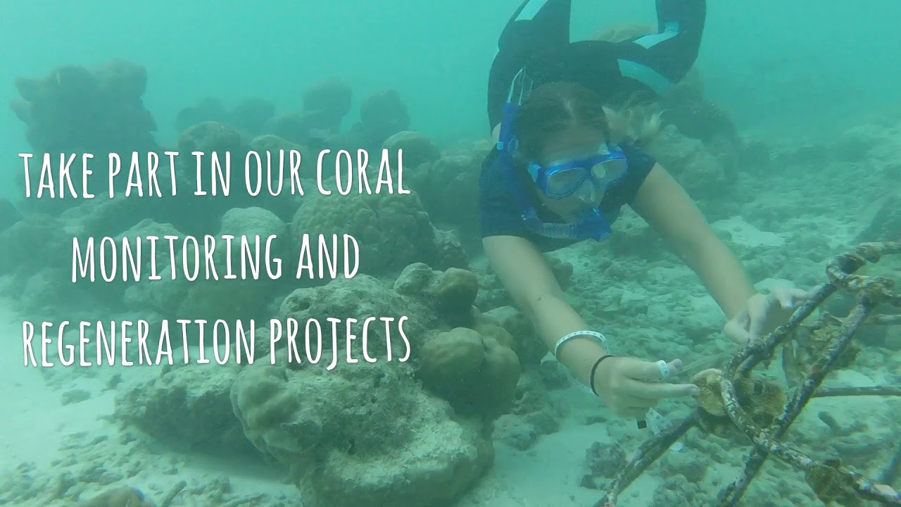 Atoll Volunteers  - Journey to Naifaru