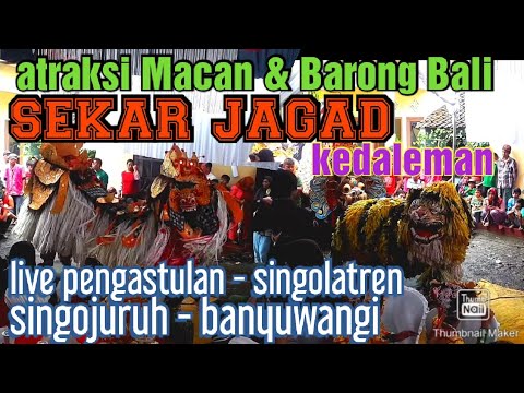 atraksi Barong Bali & Macan | SEKAR JAGAD kedaleman live Pengastulan - Singolatren - Banyuwangi