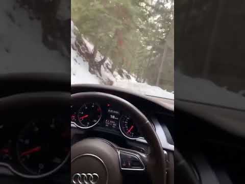 AUDİ SNAP /SİLAHLI SNAP /GÜNDÜZ VE KARLI SNAP