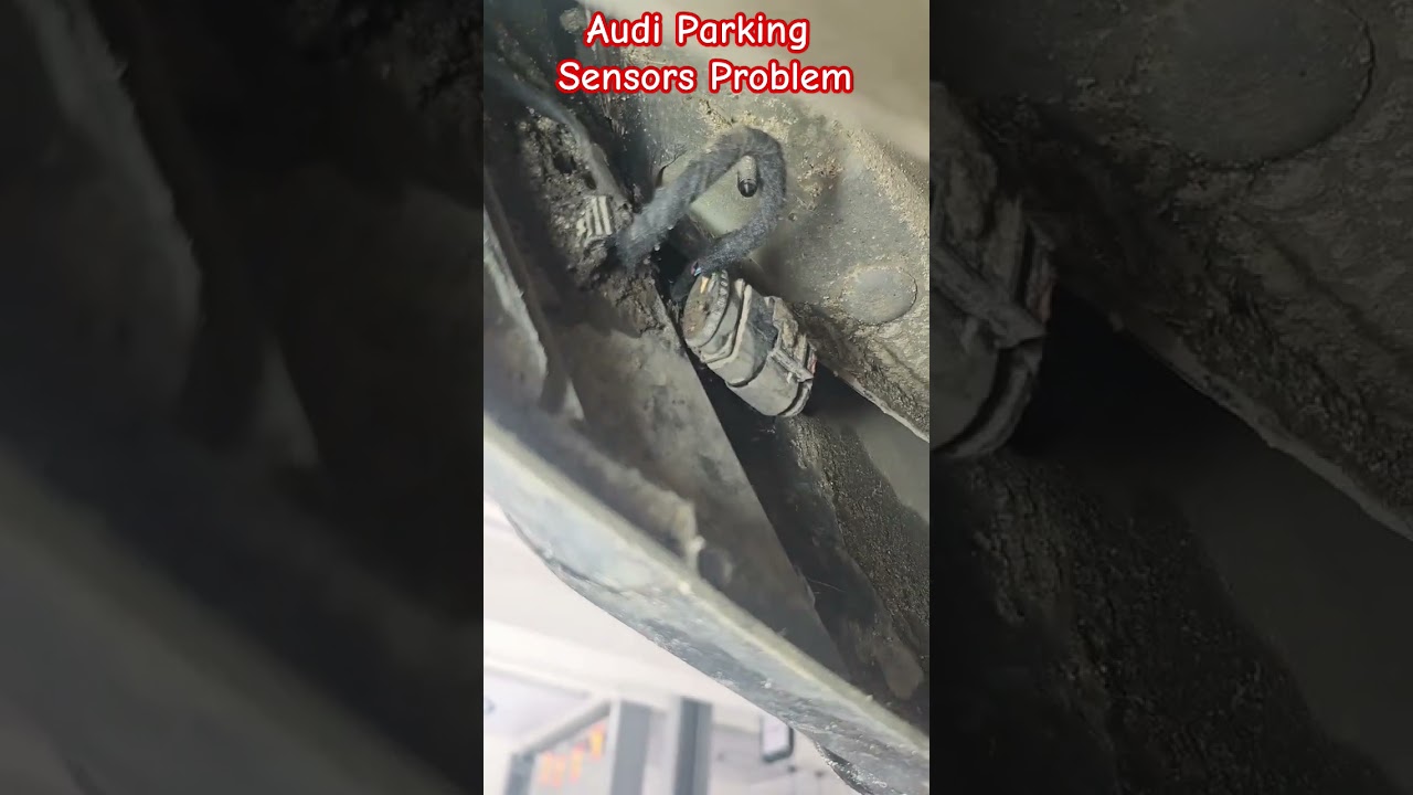 Audi Parking Sansor Solution #automobile #brakepads #mechanic #brakefluid #ytshorts #mechaniclife