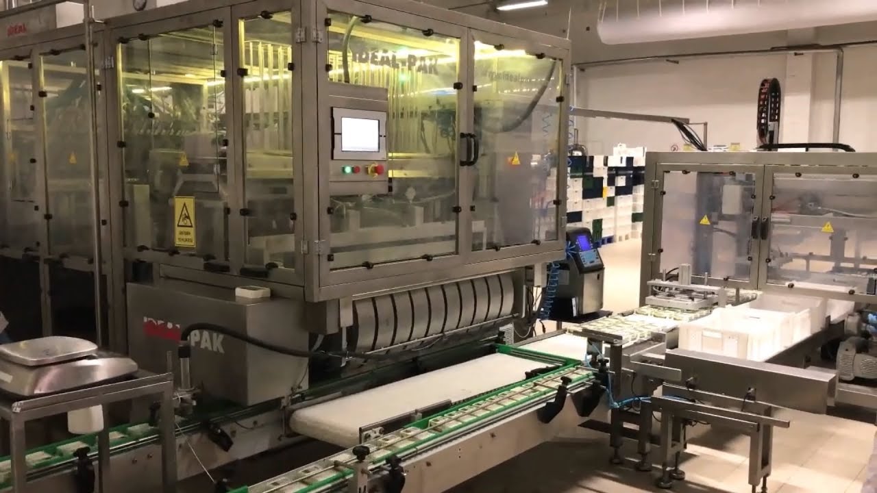 Automatic filling line for Labneh and Sour Cream