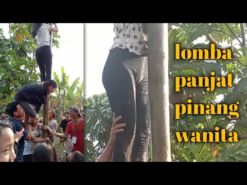 awas sobek ‼️ wanita pakai celana ketat ikut lomba panjat pinang