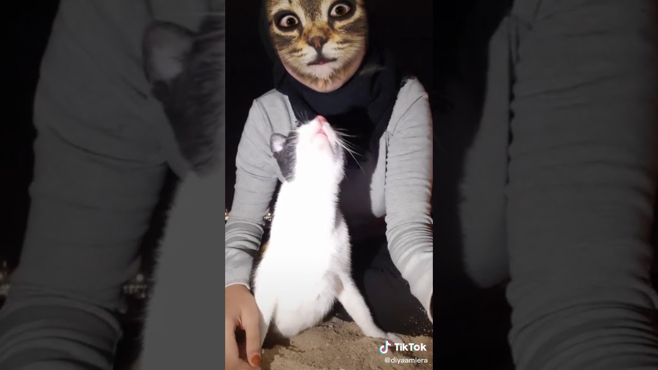 Awek tudung