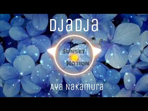 Aya Nakamura - Djadja [SN] ° Free Copyright