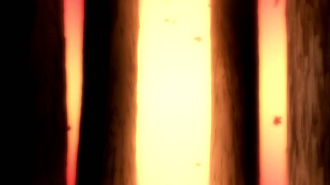 Ayaku / Hopeless