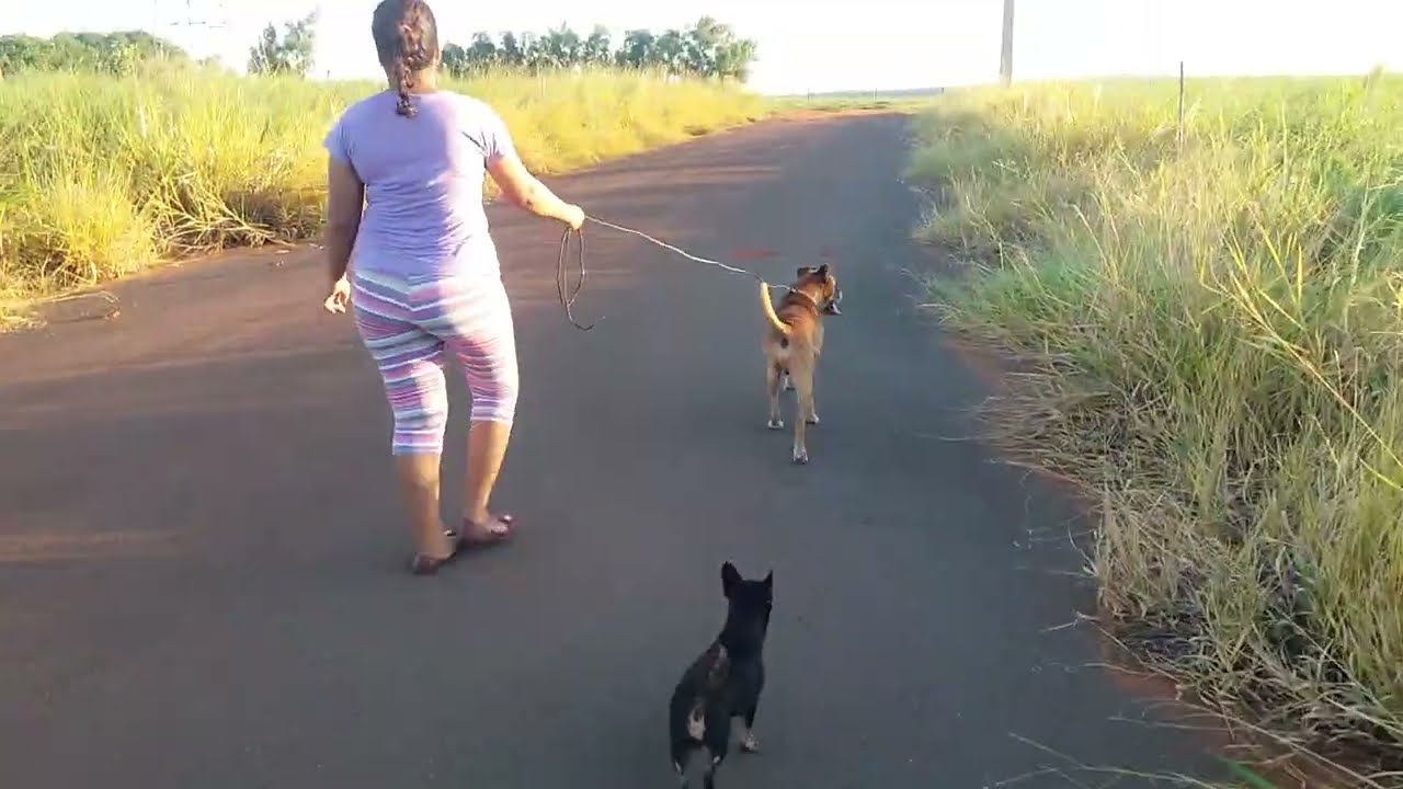 AYALLA PASSEANDO COM SANSÃO E NININHA
