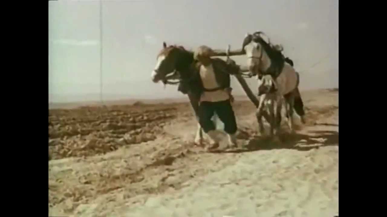 Aygytly Adim - Aynam
