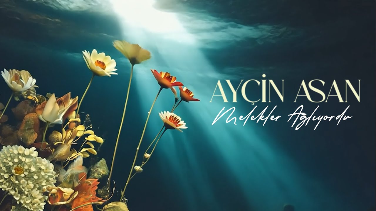 Ayçin Asan - Melekler Ağlıyordu