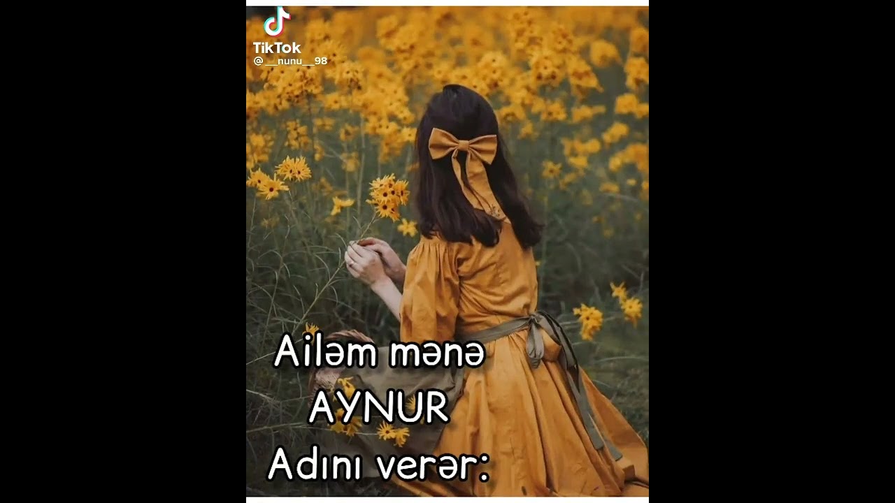 Aynur adı