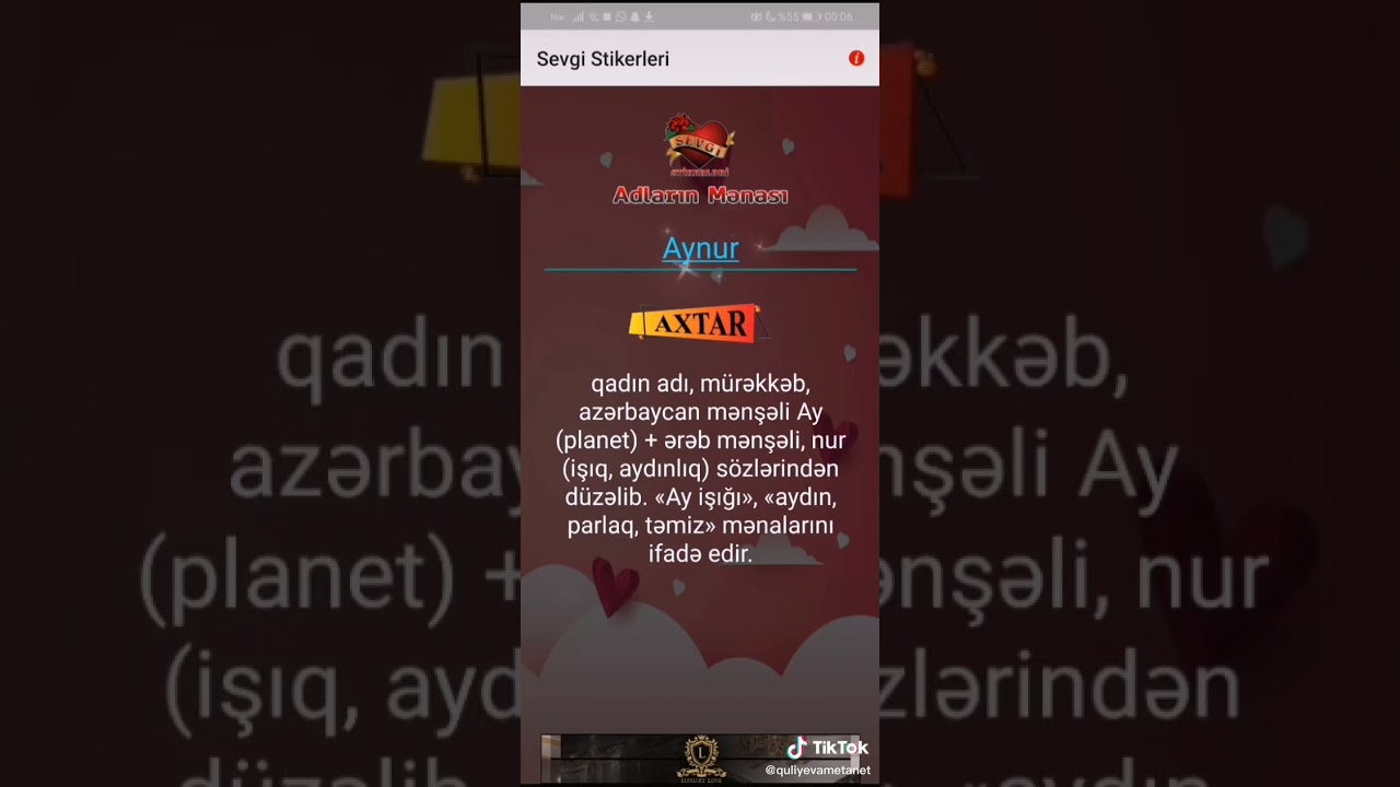 Aynur adinin menasi
