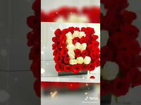 Aysel adına aid video