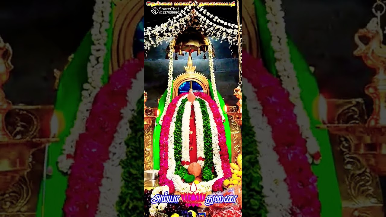 Ayya Vaikundar best BGM status Tamil New Ayya 🌷 Undu 💖💖