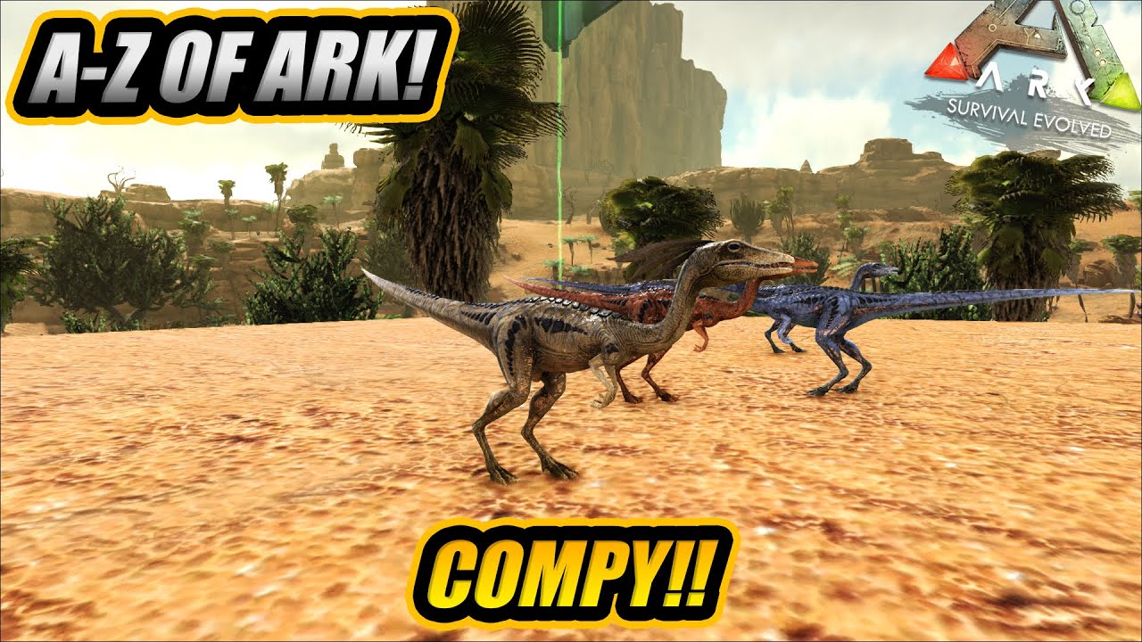 A-Z Of Ark! The COMPY, The Annoying Mini Raptor!! || Ark Survival Evolved!