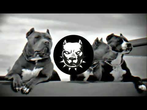 Azeri Bass Music 2019 Hamının Axtardığı ''O