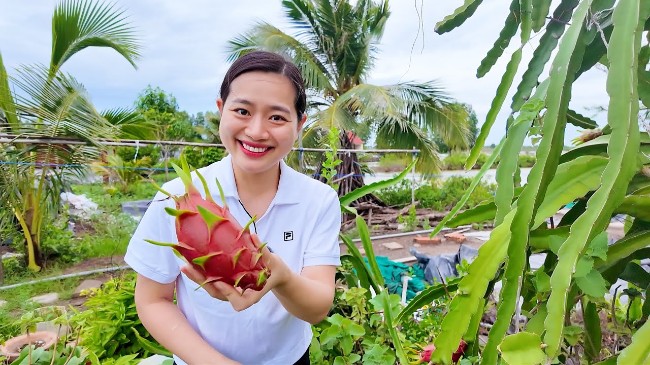 Bữa cơm Quê nhà Vịt nấu chao môn, Gỏi đu đủ Mắm tôm chua đậm đà |ÁNH KUA