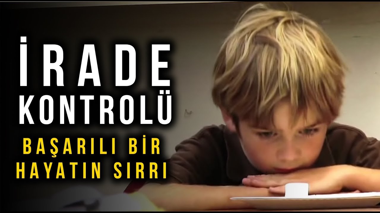 Başarılı Bir Hayatın Sırrı - İrade Kontrolü ve Marsmallow Testi