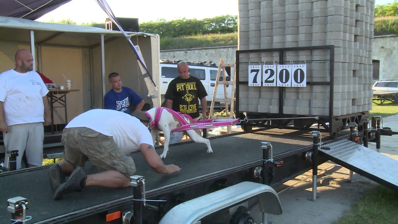 Baba 7200 kg HD