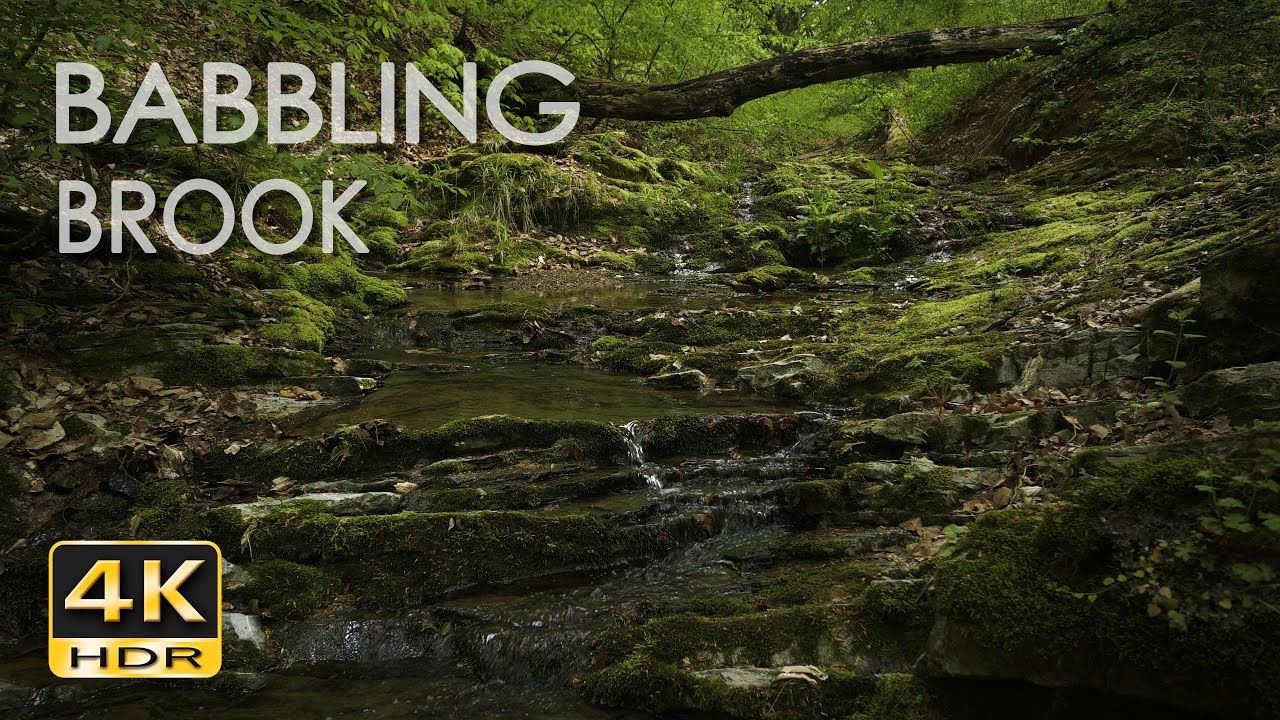 Babbling Brook - Trickling Forest Creek - Water Sounds - Relaxing Nature Video - 4K HDR