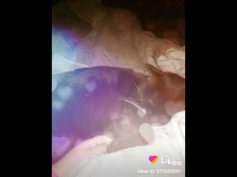 Baby baby kitty love