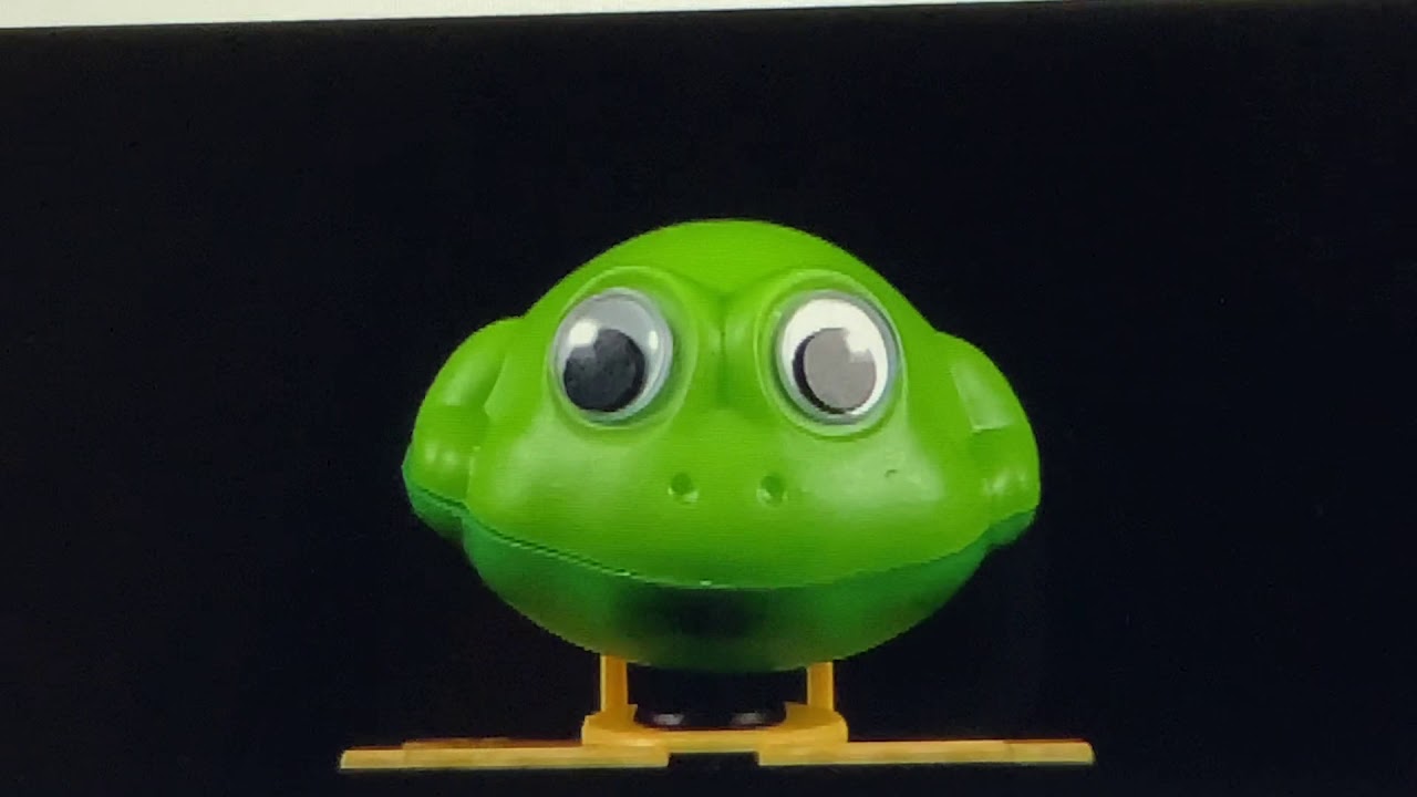 Baby Einstein neighborhood animals 2003 flipping frog toy