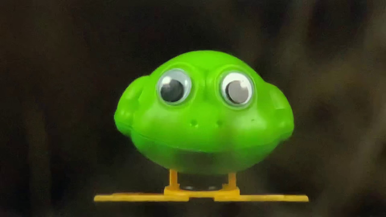 Baby Einstein neighborhood animals flipping frog toy