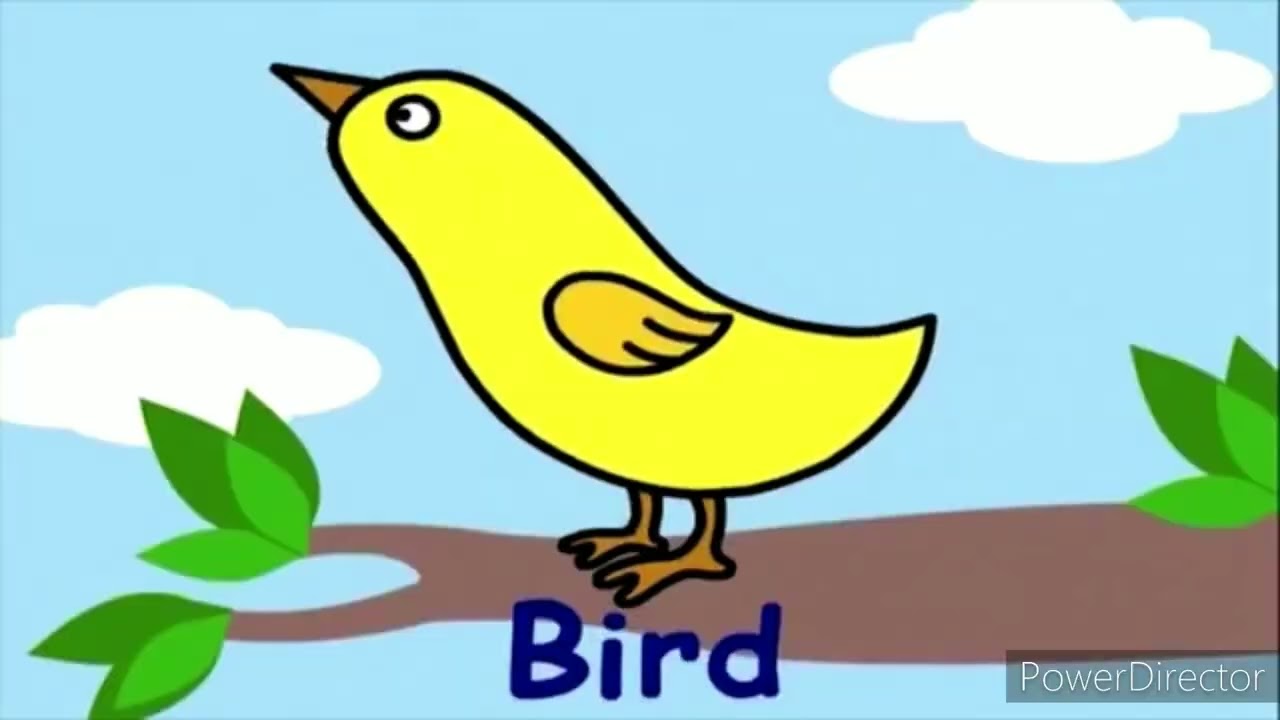 Baby First Blossom transforms (2006-present Updated Version)