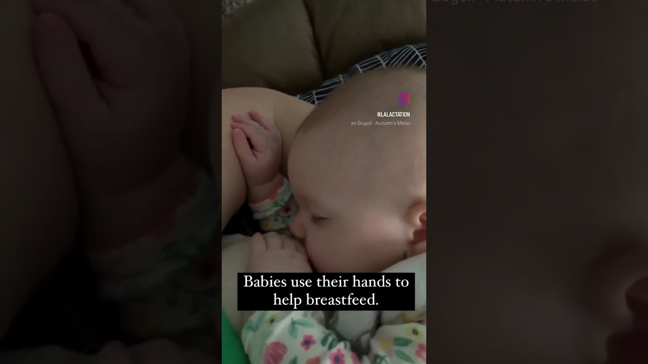 Baby hands #breastfeeding #normalizebreastfeeding #baby