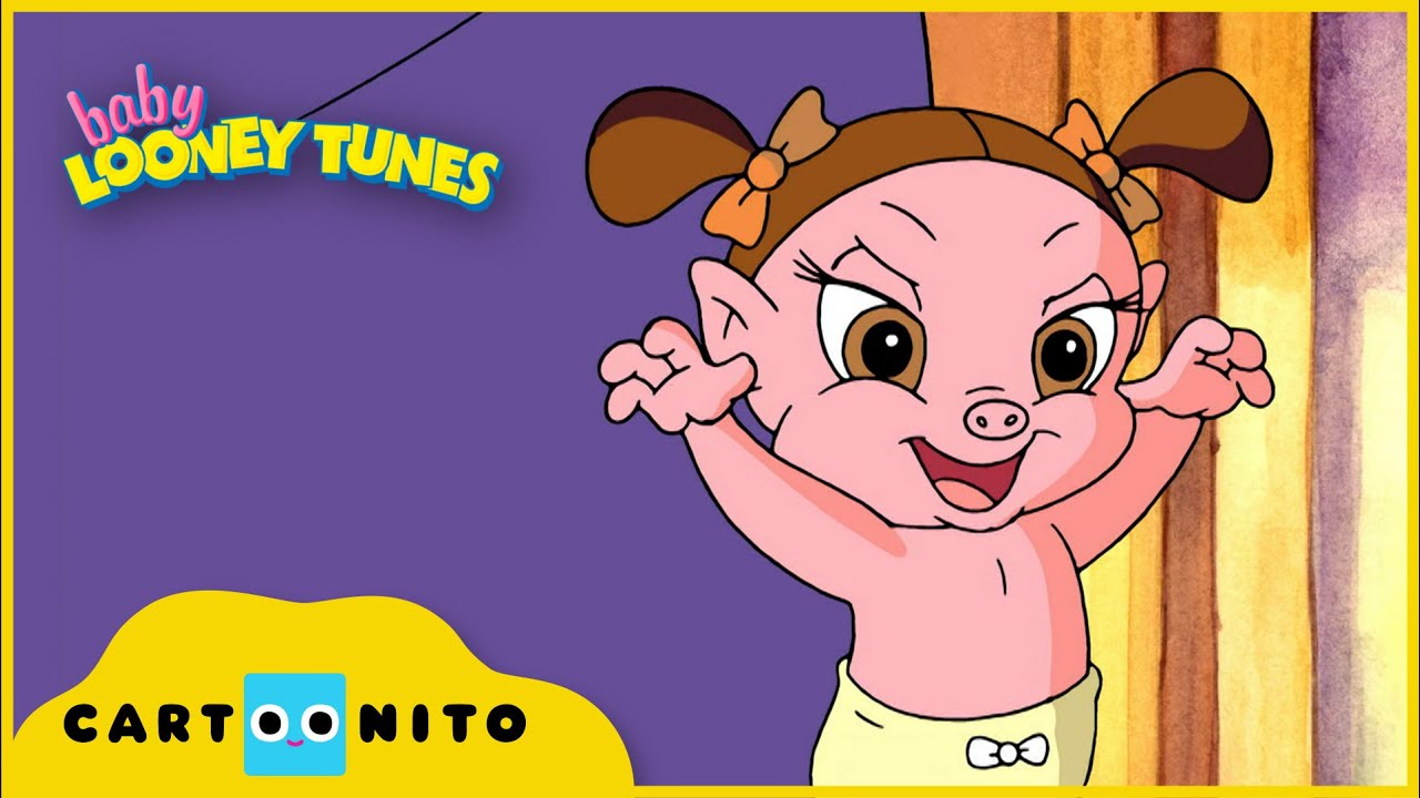 Baby Looney Tunes  | Danger | Cartoonito UK