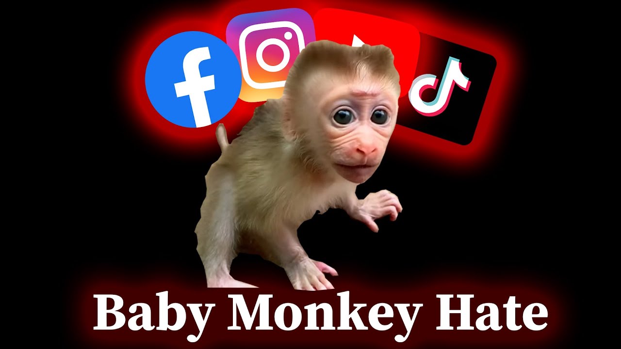 Baby Monkey Abuse: Social Media's Dark Secret