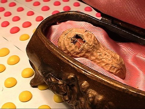 Baby Nut by PES
