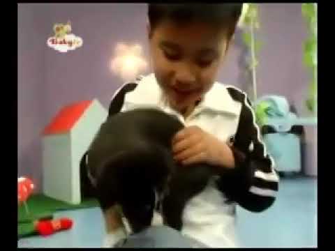 baby tv Kids & pets fr2