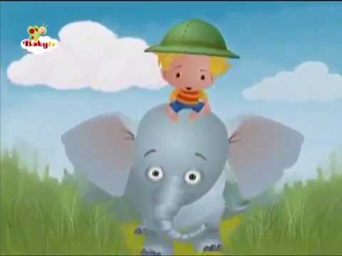 Baby Tv Sonhar com o Kim