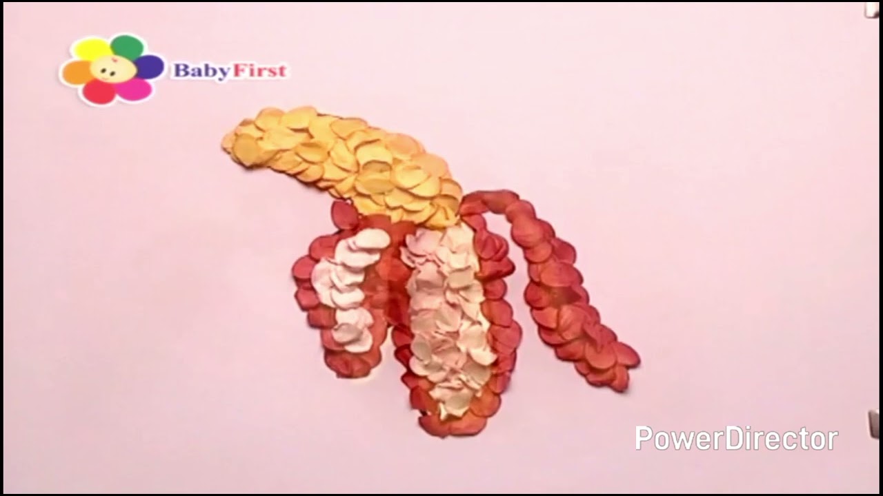 BabyFirst Art and Music Volume 29 Blossom Transforms