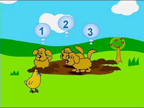 BabyFirst Numerical Concepts DVD 2007