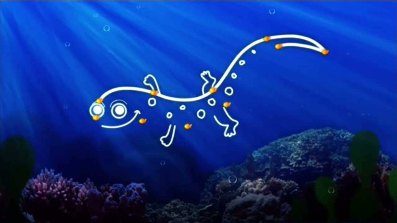 babyfirst scuba dots salamander