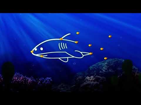babyfirst scuba dots shark