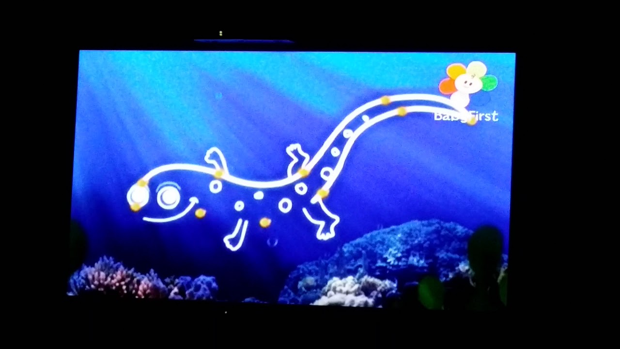 babyfirsttv scuba dots salamander